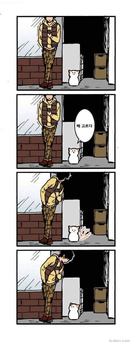 고양이가 말을 하는 만화.jpg