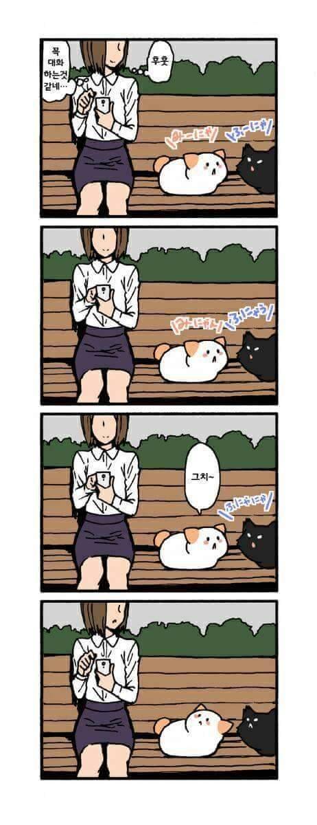 고양이가 말을 하는 만화.jpg