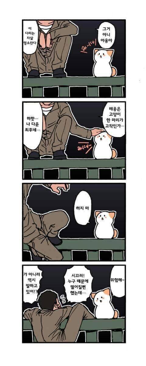 고양이가 말을 하는 만화.jpg