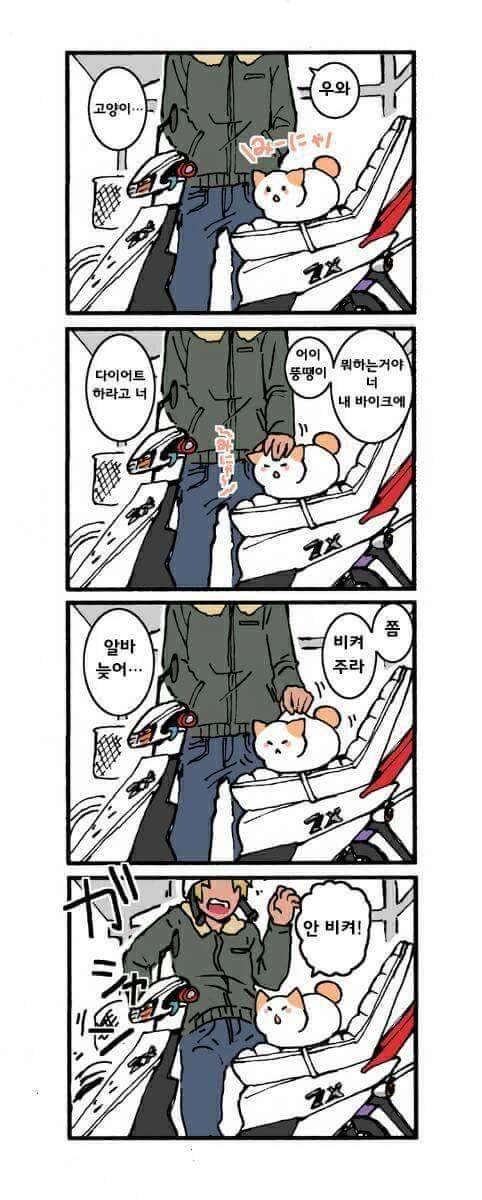 고양이가 말을 하는 만화.jpg