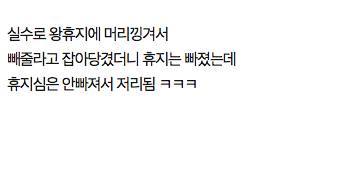 미니핀이 원래 이렇게 커지는거에요????????????