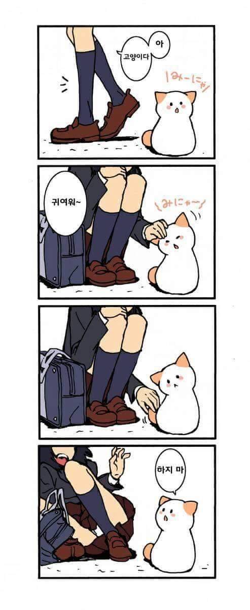 고양이가 말을 하는 만화.jpg