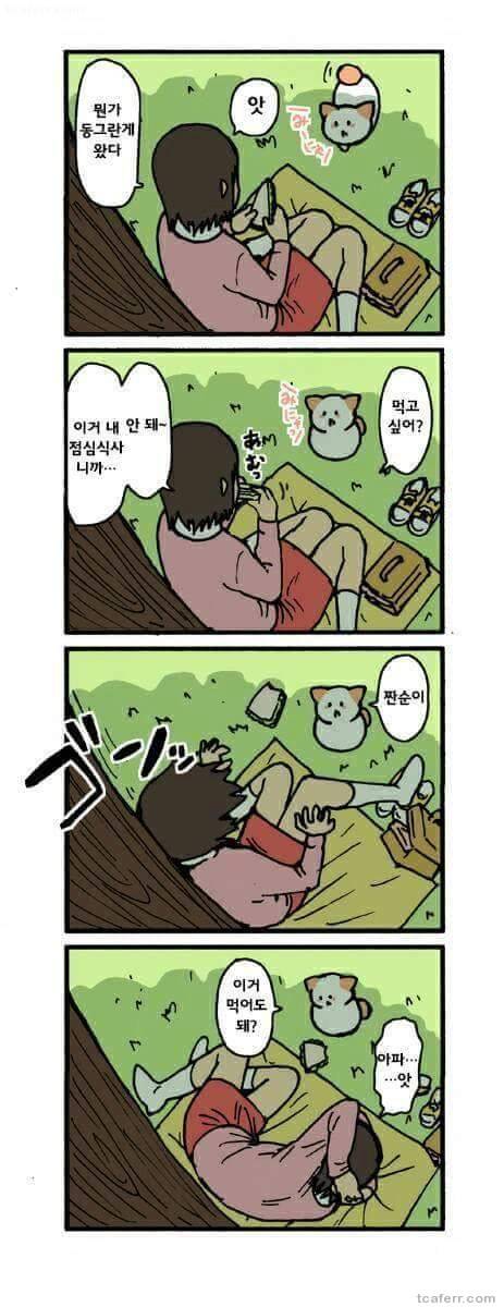 고양이가 말을 하는 만화.jpg
