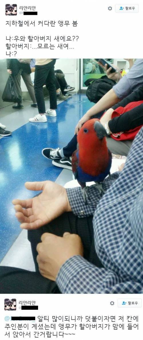우와~할아버지 새에요?