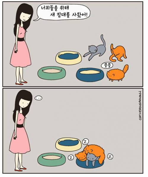 고양이 키우는 사람 공감.jpg