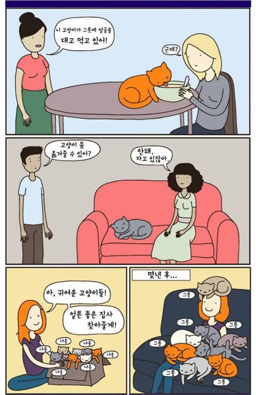 고양이 키우는 사람 공감.jpg