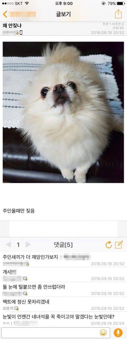 지진 오는데 넌 왜 안 짖냐.jpg