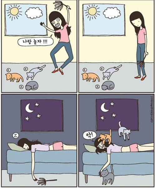 고양이 키우는 사람 공감.jpg