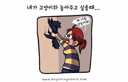 고양이 키우는 사람 공감.jpg