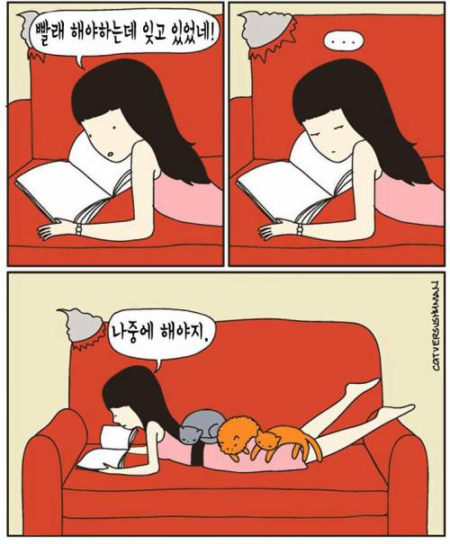고양이 키우는 사람 공감.jpg