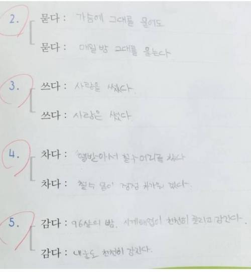 문과 유망주 초등학생.jpg