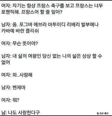 불어로 여자 꼬시는 방법.jpg