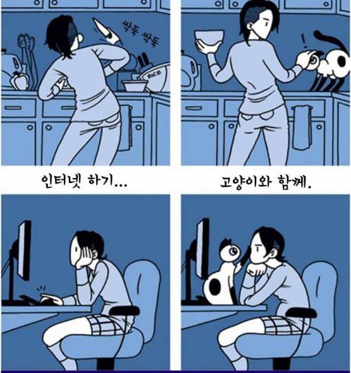 고양이 키우는 사람 공감.jpg