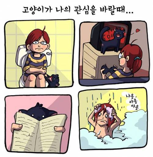 고양이 키우는 사람 공감.jpg