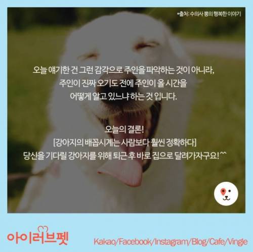 강아지는 주인이 오는시간을 어떻게 알까?
