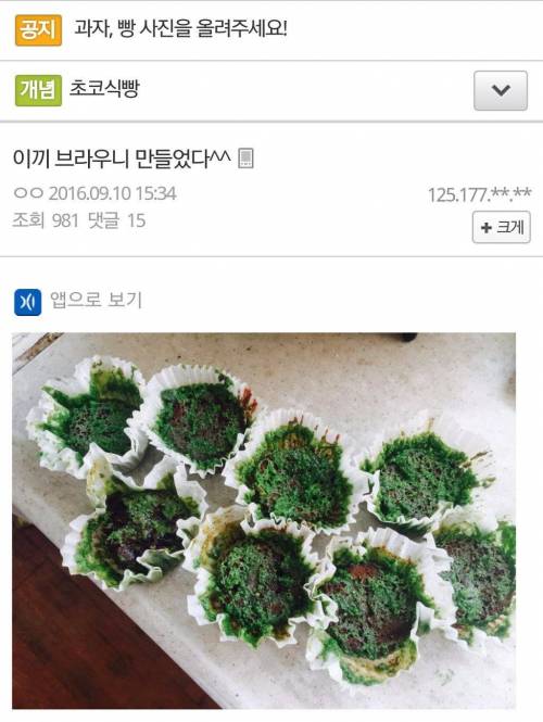디씨인의 식물빵.jpg