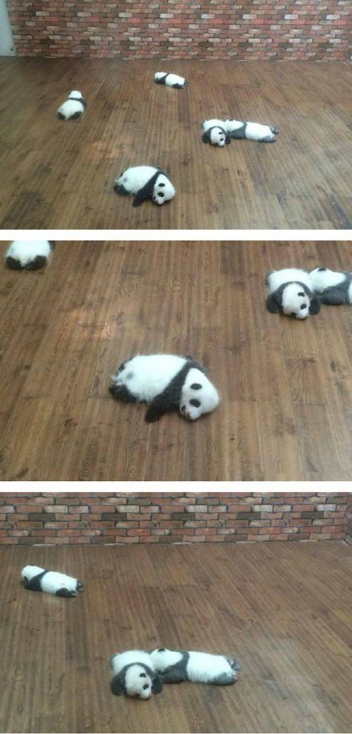 어린이집 점심시간 30분 뒤.jpg