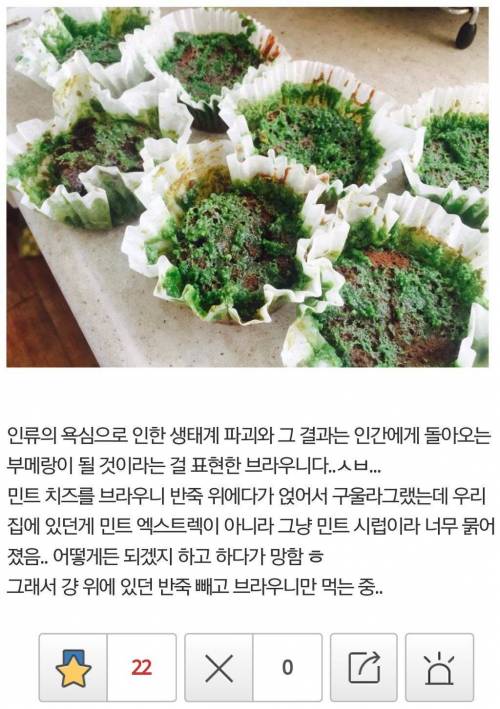 디씨인의 식물빵.jpg