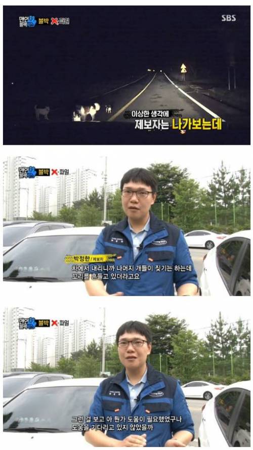 강아지를 구한 남자.JPG