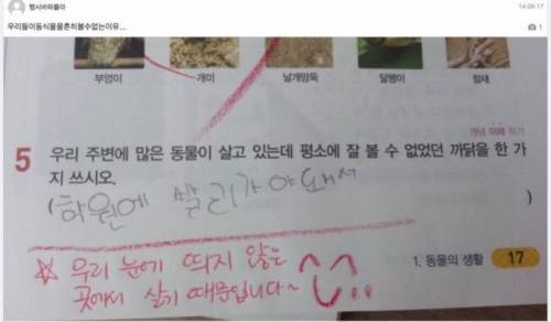 평소에 동물을 잘 볼 수 없는 이유
