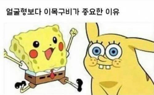 얼굴형보다 이목구비가 중요한 이유
