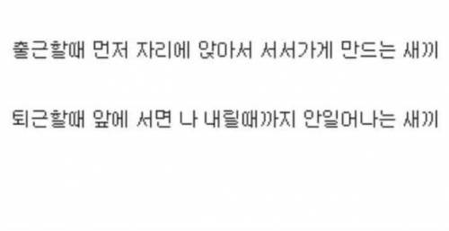 부천에 대한 인식.jpg