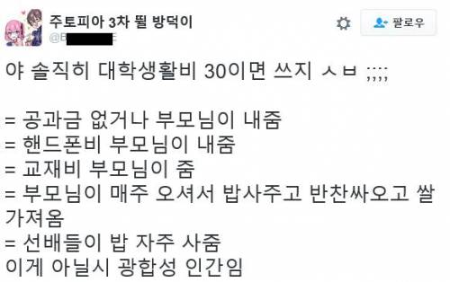 야 솔직히 대학 생활비 30이면