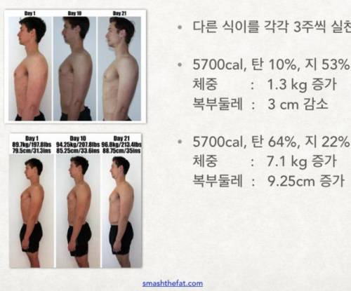 5700 칼로리 식사 실험