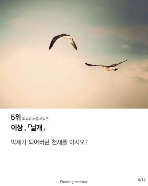 최고의 소설 도입부 10위부터 0위까지