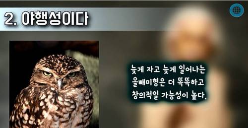당신이 천재일지도 모른다는 증거 TOP7.jpg