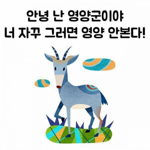 지역명 아재개그.jpg