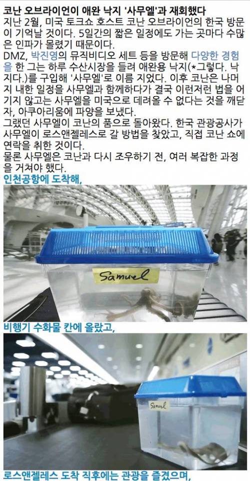 애완 낙지 사무엘과 재회한 코난