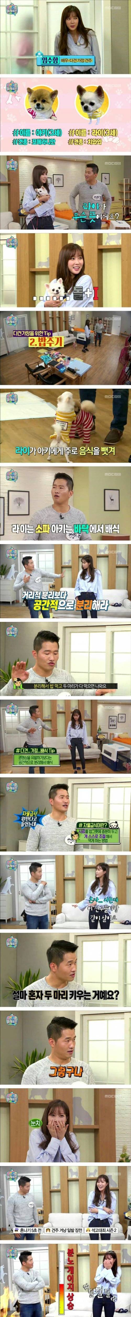 임수향 혼나는 방송.jpg