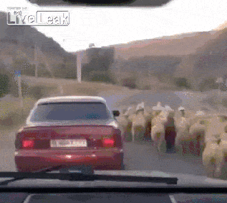 러시아의 평범한 일상.gif