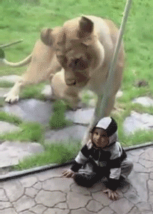 깨물어주고 싶게 귀여운 아이.gif