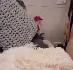 나 찾아봐라.gif