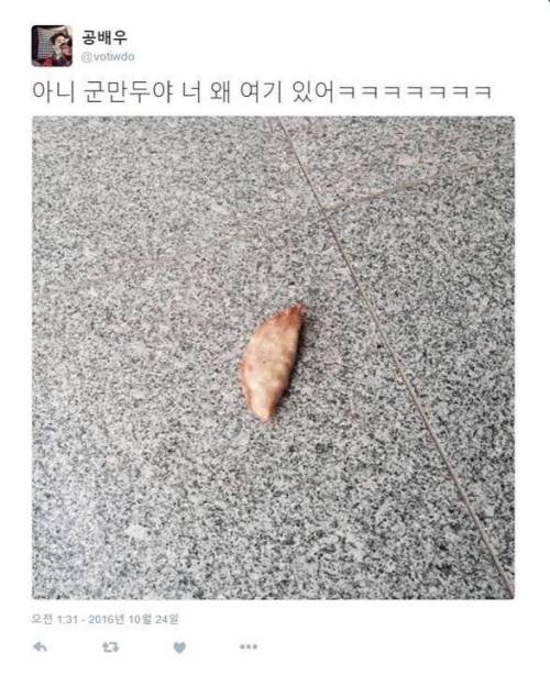 가을 바람에 날아온 낙엽