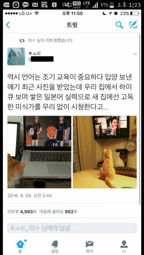 덕후의 고양이가 입양갔을때.jpg