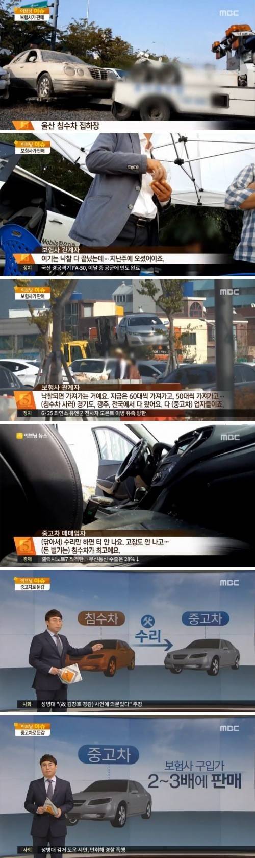 태풍 이후 모두가 예견한 일.jpg