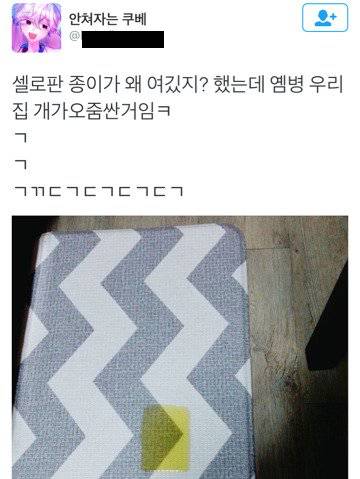 이 셀로판지 누가 떨궜냐.jpg