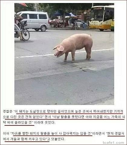 필사즉생.jpg