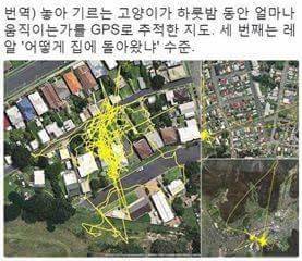 고냥이에게 GPS를 달아보았다