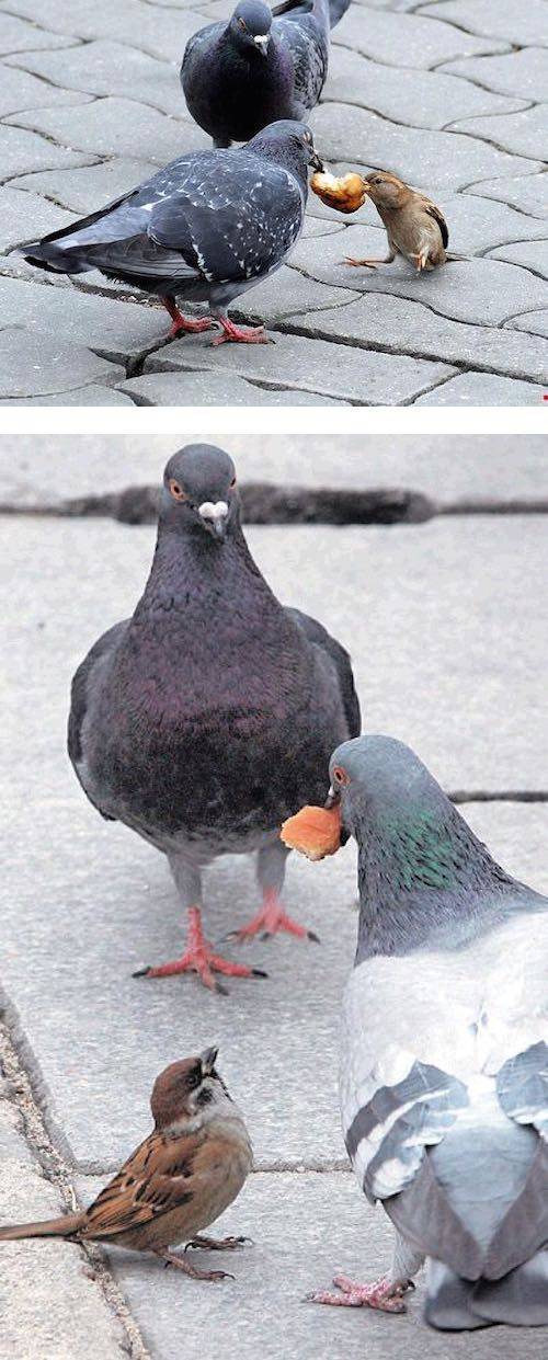 갑의 횡포.jpg