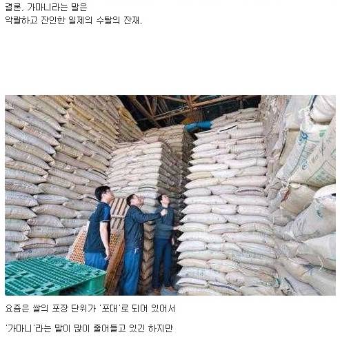 쌀을 가마니로 세면 안되는 이유