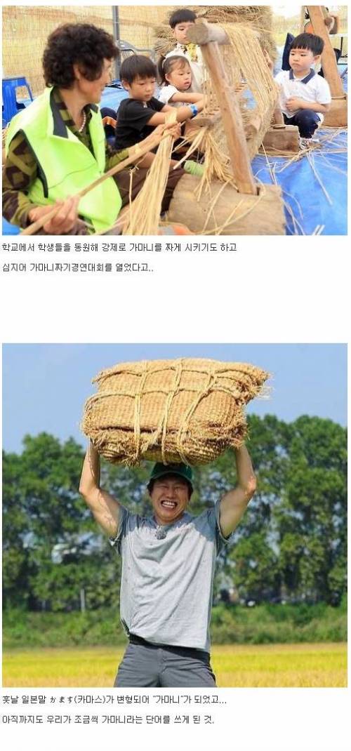 쌀을 가마니로 세면 안되는 이유