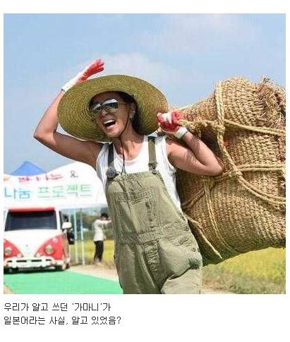 쌀을 가마니로 세면 안되는 이유