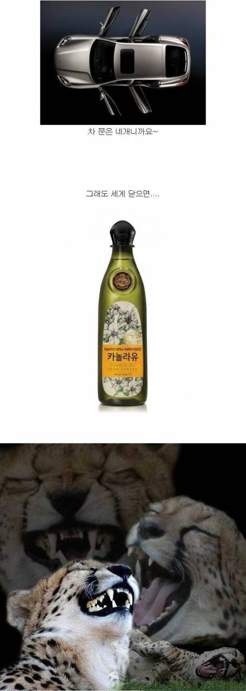 차 문을 세게 닫으면 안 되는 이유가 있습니다. 왜냐면...