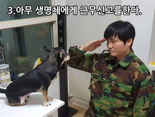 불면증으로 고생하시는 분들에게
