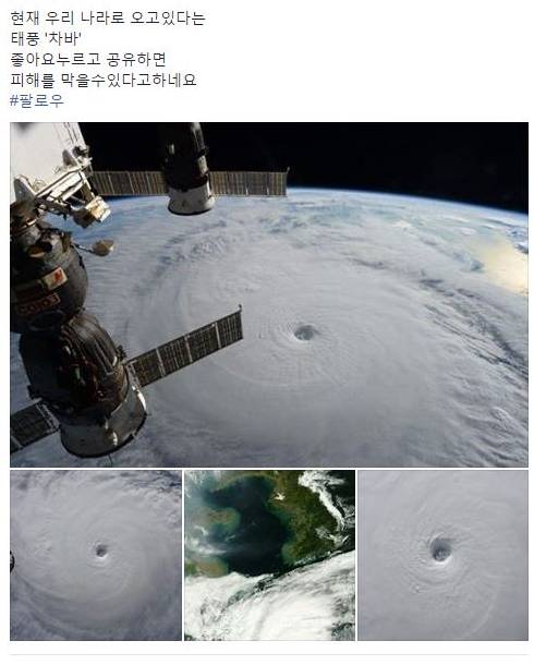 당신의 따봉이 태풍을 막습니다