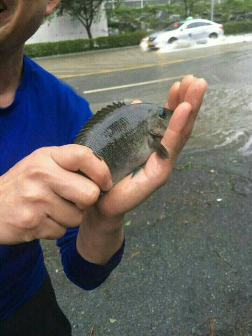 어제자 마린시티 근처.jpg